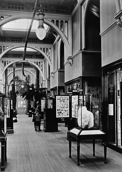 The Botany Gallery