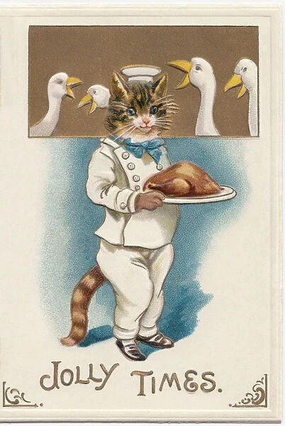 Cat & Roast Turkey