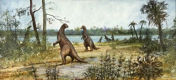 Iguanodon. A wealden reed swamp depicted during the Lower Cretaceous period