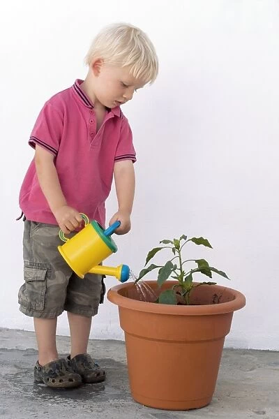 Boy watering a potted plant
