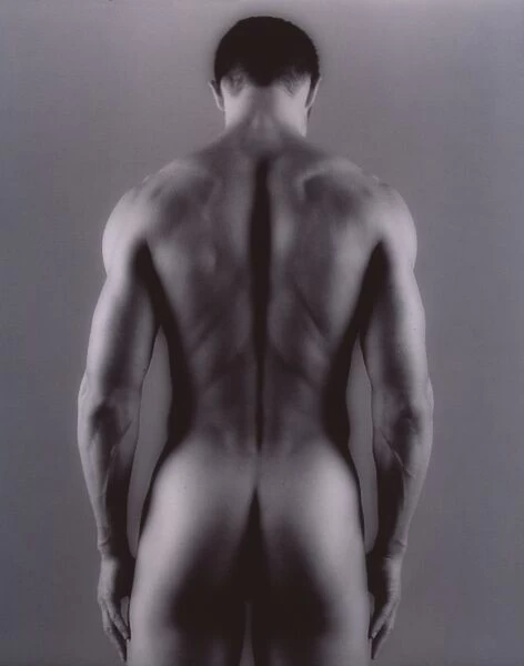 Nude man. MODEL RELEASED. Nude man seen from behind