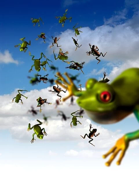 Raining frogs, artwork