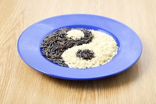 Yin and yang with rice F007  /  0323