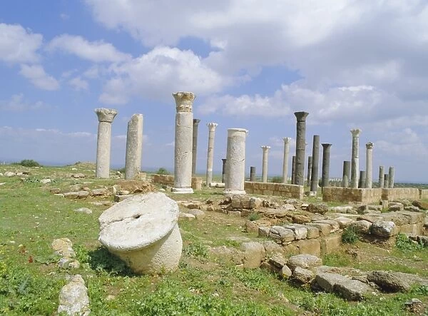 Columns of the 7th  /  8th century Byzantine basilica at ancient Abila