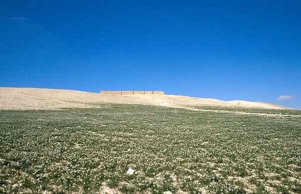 The Israelite fortress at Tel Arad in the Negev Desert, Israel, Middle East