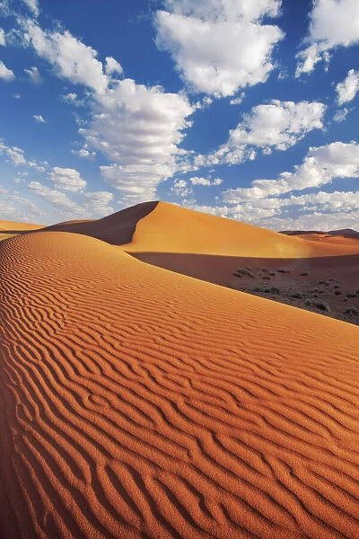 Dune impression in Namib - Namibia, Hardap, Namib, Sossus Vlei - Namib Naukluft National