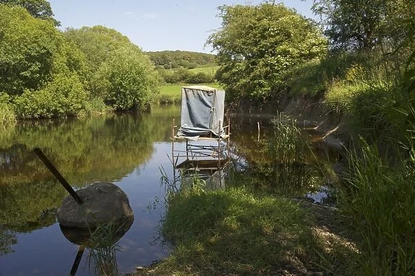 Nature photography hide for kingfisher in river, River Urr, Dalbeattie, Dumfries and Galloway, Scotland, july