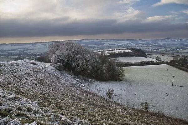 Rime frost, on hillside in rural landscape, Dorset, England, december