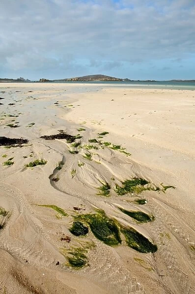 Stream flowing across beach at low tide, looking towards St. Helen s, Cradle Porth, Tresco, Isles of Scilly, England