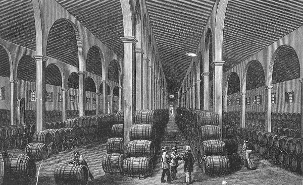 SPAIN: WINERY. Winery in Jerez, Spain. 19th century engraving