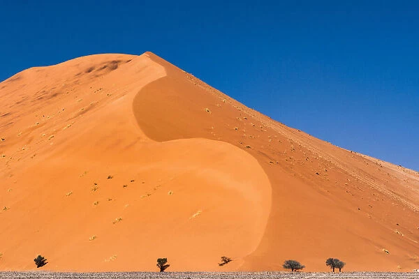 A tall sand dune in Namib-Naukluft National Park, Namibia
