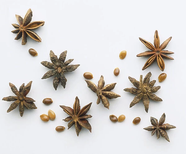 Allicium verum, Star Anise with scattered seeds, close up