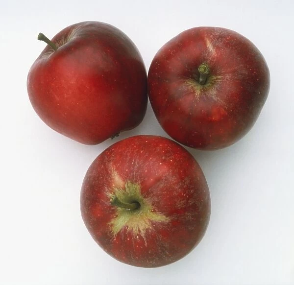 Apple Katia, three red apples