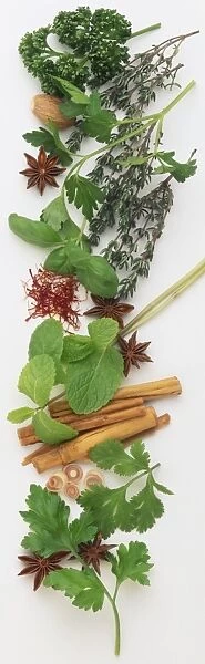 Fresh Mint, Coriander, Basil, Parsley and Thyme leaves, and dried Saffron, Cinnamon, Lemongrass, Nutmeg and Star Anise