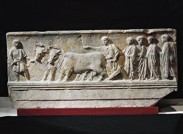 Limestone sulcus primigenius relief, representing ceremony of foundation of city of Aquileia