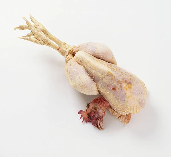 Trussed chicken, with head and feet, view from above