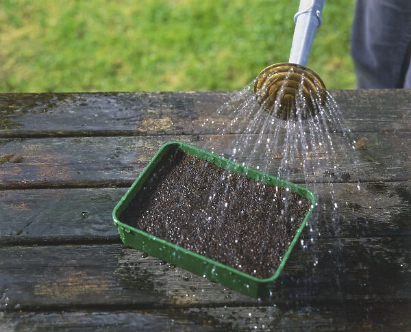 A watering can watering a tray of soil
