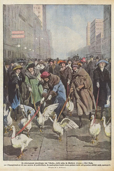 American extravagances, a Goose Derby, on Madison Avenue in New York, for the inauguration... (colour litho)