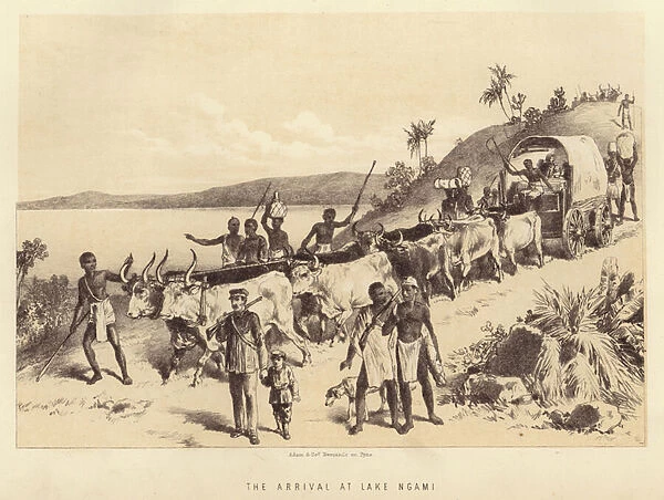 The arrival at Lake Ngami (litho)