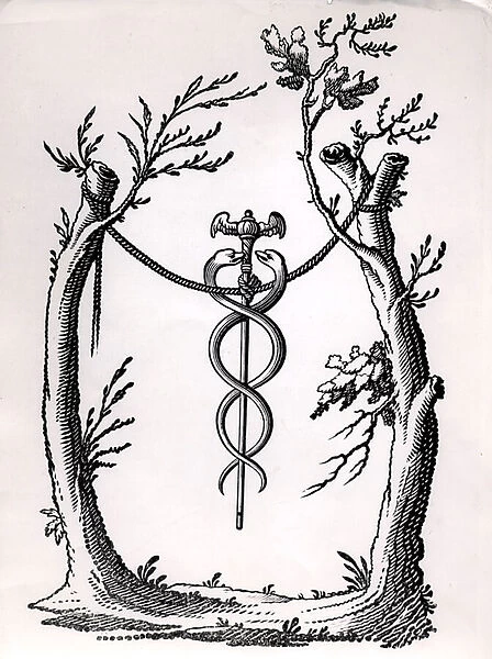 A Caduceus (engraving) (b  /  w photo)