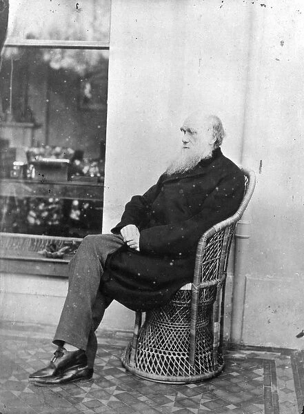 Charles Darwin (b  /  w photo)
