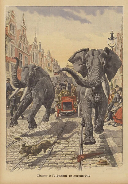 Chasing escaped elephants by car on the streets of Hamburg (colour litho)