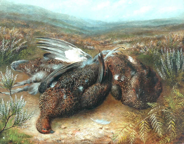 Dead Grouse in Landscape (oil on canvas)
