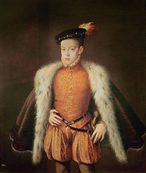 Don Carlos, Prince of Asturias and Portugal, c. 1558 (oil on canvas)