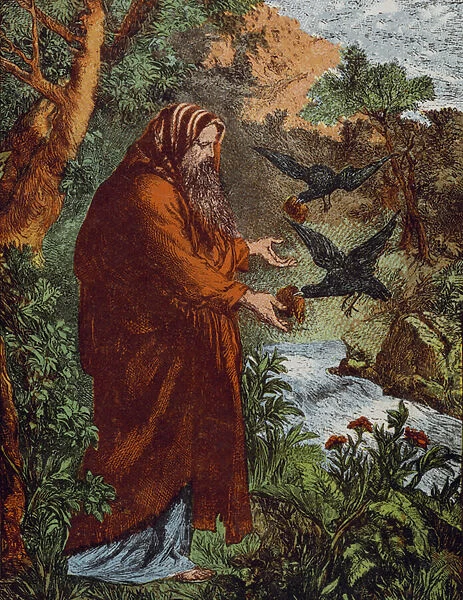 Elijah and the Ravens (coloured engraving)