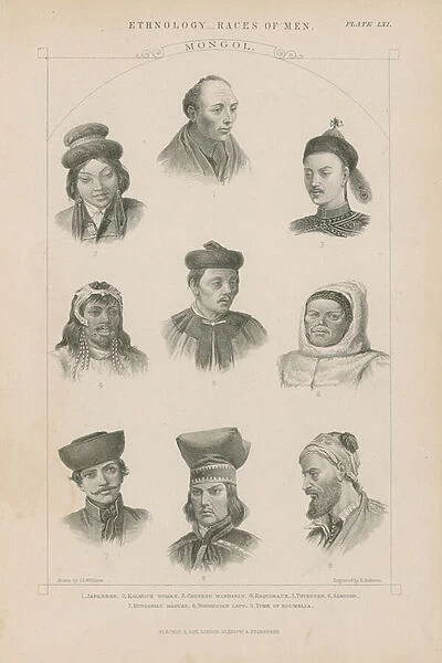 Nine faces of different Mongol races (engraving)
