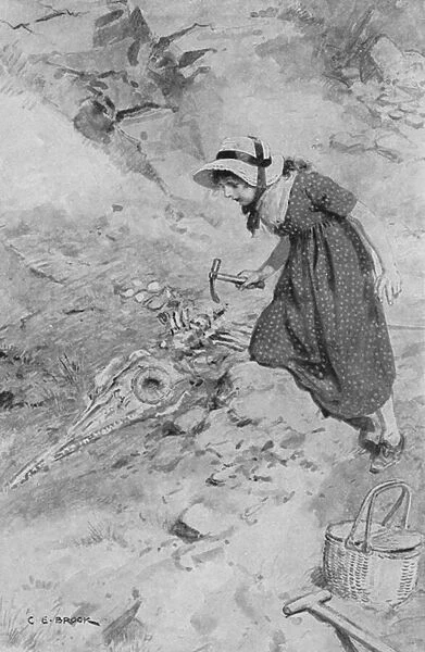 At Lyme Regis, Mary Anning, aged 12, coming upon the first Ichthyosaurus found in England (litho)