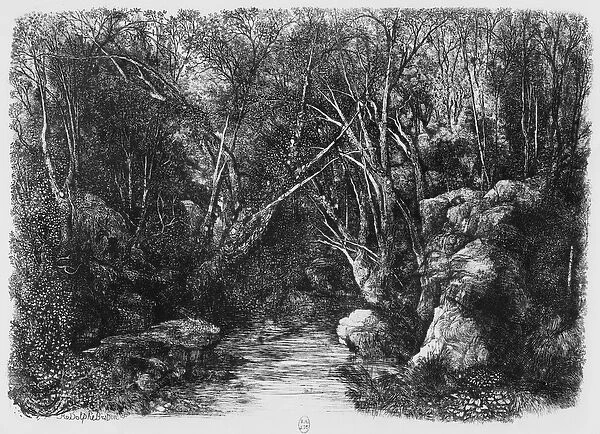 The Stream through the trees, 1880 (etching)