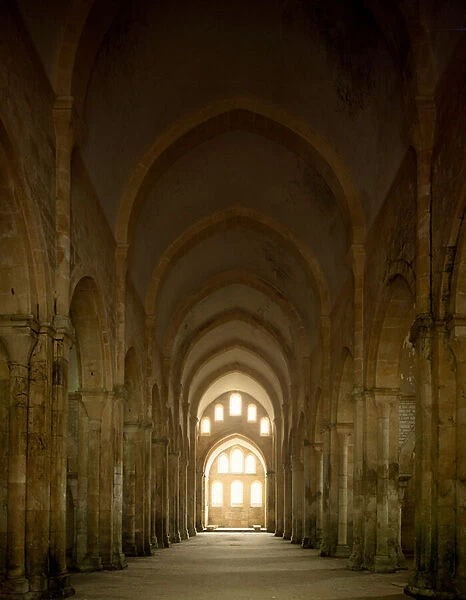 View of the nave of the church of the Cistercian abbey, 12th century (photography)