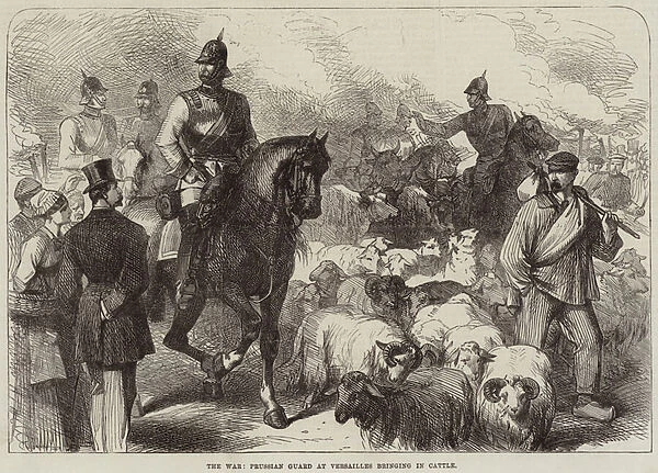 The War, Prussian Guard at Versailles bringing in Cattle (engraving)