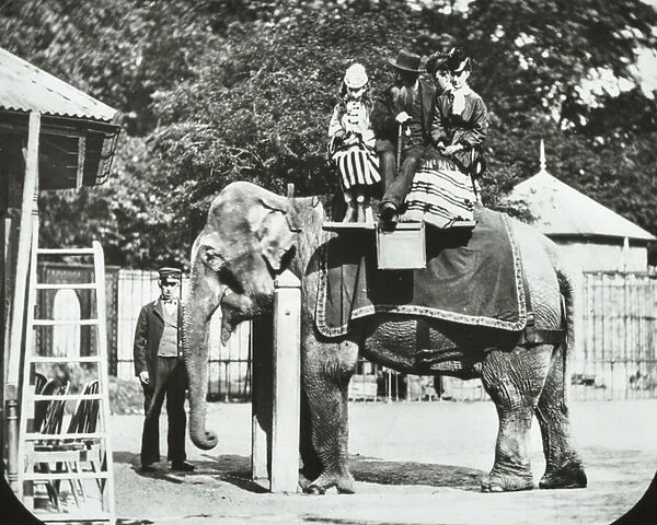Zoological Gardens, Regents Park: elephant with adults and children having a ride