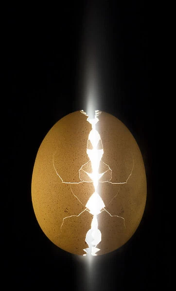 Alien egg. Wieteke de Kogel