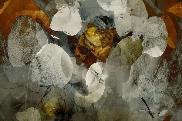 Autumn abstract