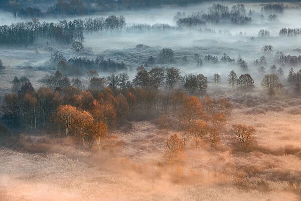 Autumnal misty dawn