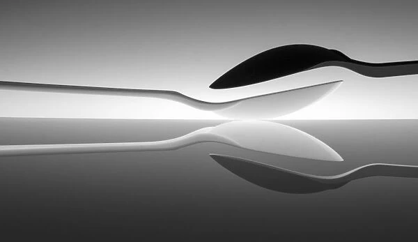 Black and white spoon