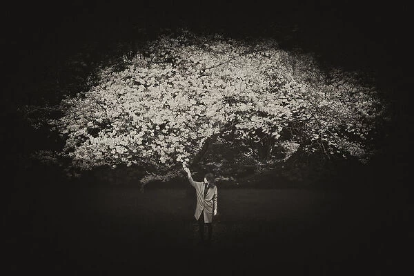 blooming. Koichiro Matsufusa