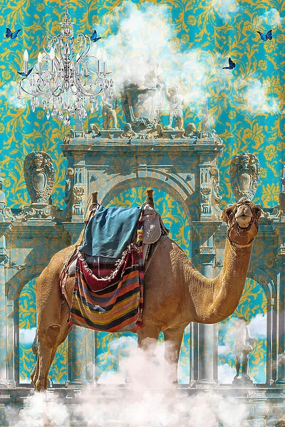 Camel Adventures