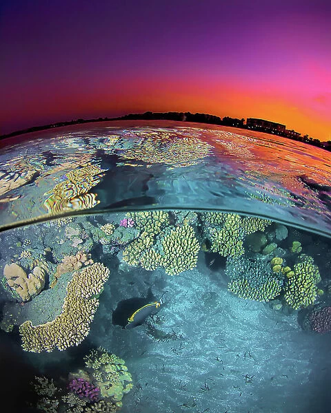 Dusk at the Red Sea Reef