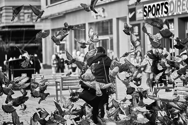 Feeding the pigeons. Enrico
