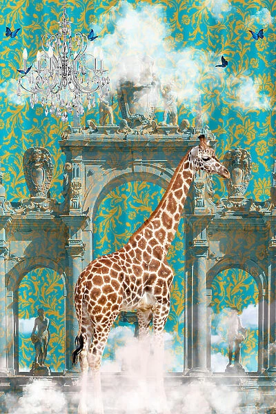 Giraffe Adventures
