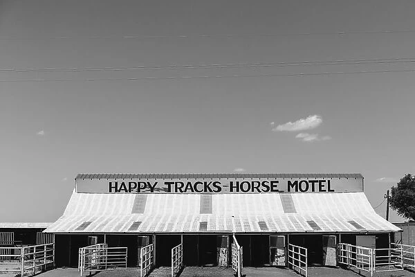 Horse Motel