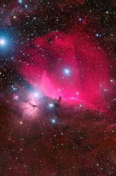 Horsehead nebula. vikas chander
