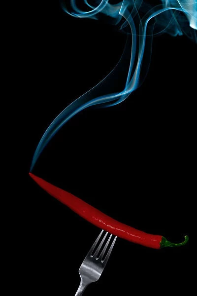 Hot Bite. Smoking hot chili pepper on fork on black background. Gert Lavsen