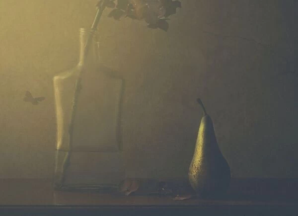 Hydrangea and pear (2)