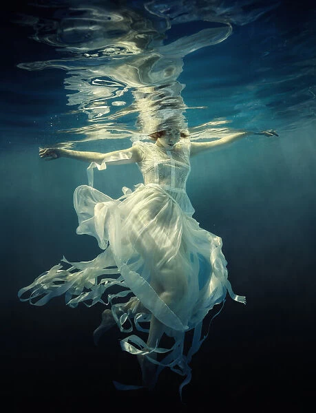 Jellyfish. Dmitry Laudin