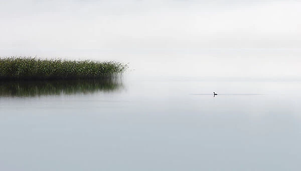 The lone fisher
